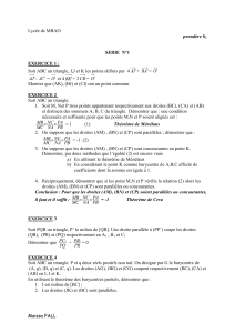 S&eacute;rie Maths Premi&egrave;re S1 : G&eacute;om&eacute;trie & Polyn&ocirc;mes