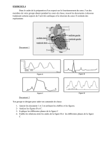 Exercice Fonctionnement du C&oelig;ur Corrig&eacute;