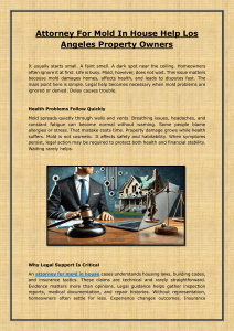 Los Angeles Attorney for Mold in House Guide