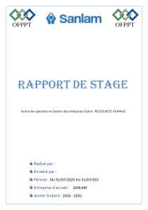 Rapport de stage Sanlam Maroc Assurance