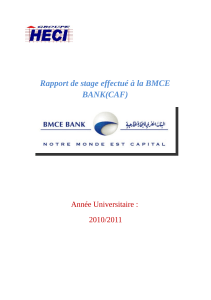 Rapport de stage BMCE Bank 2010/2011
