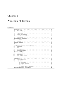 Alg&egrave;bre Abstraite : Cours sur Anneaux et Corps