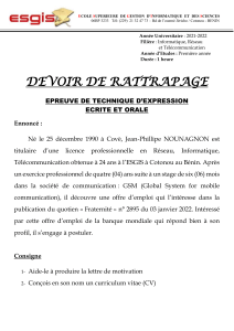 Devoir Technique d'Expression ESGIS 2022