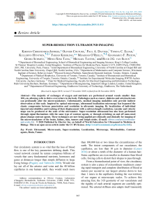 Super-Resolution Ultrasound Imaging Review