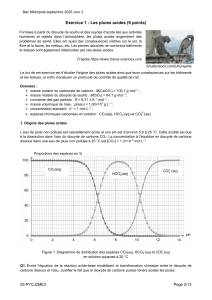 Examen de Chimie sur les Pluies Acides