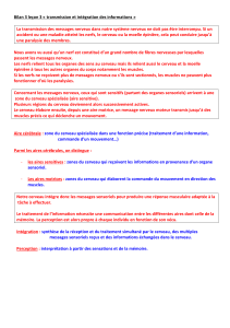 Transmission et int&eacute;gration des messages nerveux