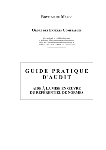 Guide Pratique d'Audit Maroc - Normes et Proc&eacute;dures