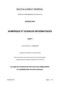 Bac NSI 2025: Arbres, R&eacute;cursivit&eacute;, POO Examen