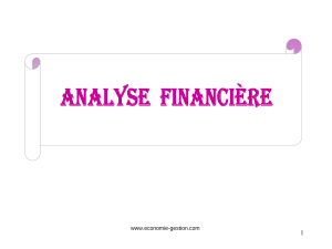 Cours Analyse Financi&egrave;re: Fondamentaux et M&eacute;thodes