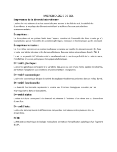 Microbiologie du Sol : Diversit&eacute; et Cycles Biog&eacute;ochimiques