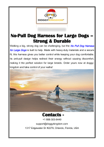 No-Pull Dog Harness for Large Dogs &ndash; Strong & Durable