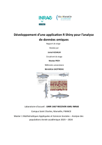 Rapport Stage R Shiny