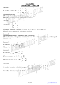 matricesexoscorriges