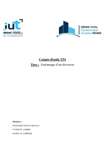 Compte rendu manip5 ecoulement dans un canal