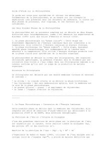 Guide to Photosynthesis: Phases & Experiments