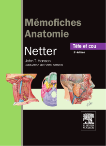 [FIXED]M&eacute;mofiches Anatomie Netter T&ecirc;te et cou