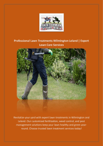 Professional Lawn Treatments Wilmington Leland | Expert Lawn Care Services