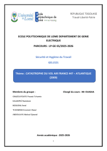 Analyse Catastrophe Vol AF447