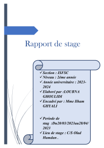 Rapport de stage olad hamdan