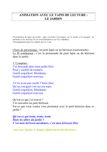 ANIMATION AVEC LE TAPIS DE LECTURE