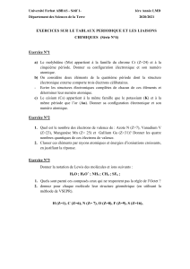 S&eacute;rieN04L1Geo21