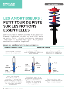 Article-RECORD-Journal-MRA-Mai-2018