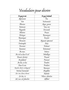 Vocabulaire Descriptif en Fran&ccedil;ais