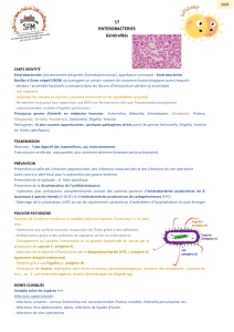 Fiche Ent&eacute;robact&eacute;ries G&eacute;n&eacute;ralit&eacute;s Microbiologie