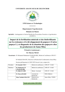 &Eacute;tude Fertilisation Papaye Croissance S&eacute;n&eacute;gal