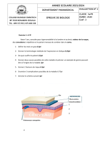 &Eacute;valuation N&deg; 2 de Biologie 2023/2024 - Lyc&eacute;e