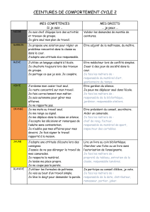 Ceintures de comportement Cycle 2