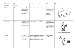R&eacute;flexes des Membres Sup&eacute;rieurs : Guide Clinique
