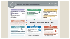 Neurodevelopmental Disorders DSM-5 2023 Summary Infographic