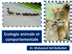 Cours d'&Eacute;cologie Animale par Dr. M.V. Belbellah