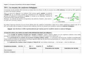 TP 9 : Les enzymes, catalyseurs biologiques