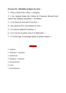 Exercice 01 : Identifier les figures de style en litt&eacute;rature