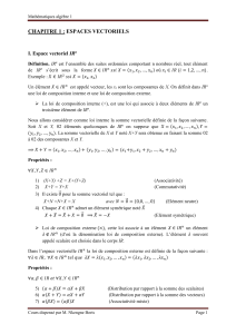 Math&eacute;matiques alg&egrave;bre 1 - Espaces Vectoriels