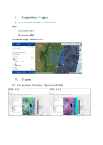 Analyse de couverture foresti&egrave;re 2017-2024 avec QGIS/ENVI