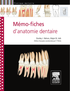 M&eacute;mo-fiches Anatomie Dentaire - Nelson & Ash