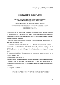 Conclusions S.A.E.L c/ C.N.S.S Bobo-Dioulasso