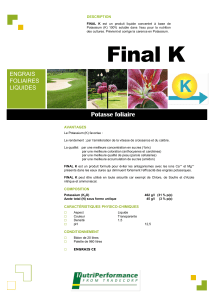 Final K - Engrais Foliar Liquide &agrave; Base de Potassium