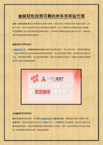 拼多多与淘宝转运代理选择指南