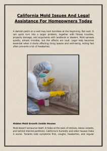 California Mold Issues & Legal Help for Homeowners