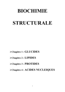 Bioch-Struct. Cours -  Glucides+Lipides 105900