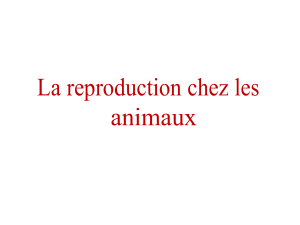 La reproduction chez les animaux 2ac