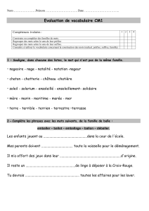 &Eacute;valuation de vocabulaire CM1 : familles de mots, pr&eacute;fixes, suffixes