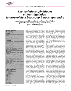 Variations g&eacute;n&eacute;tiques et r&eacute;gulation chez la drosophile
