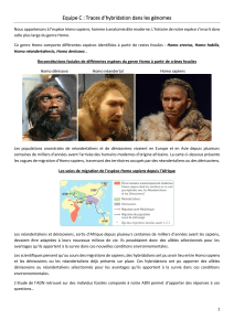 Traces d'hybridation dans les g&eacute;nomes