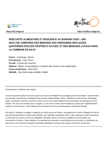 Questionnaire Adama OUEDRAOGO