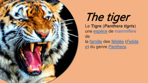 ppt71BA.pptm [Dernier enregistrement effectu&eacute; par l'utilisateur]